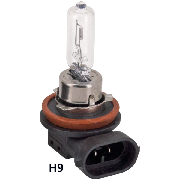 LOW AND HIGH BEAM HALOGEN BULBS GZP 10Pck Hi beam bulb H9 12V 65W