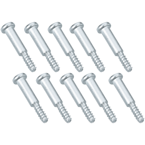 TAILLIGHT LENS SCREWS GZP 10pck Screw taillight lens mounting