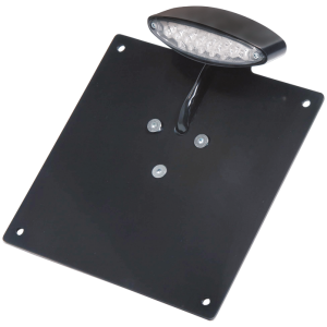 CUSTOM LED TAILLIGHT WITH LICENSE PLATE BRACKET RBS LED taillight/licensebrckt black