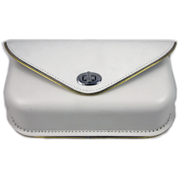 1960-1984 WINDSHIELD POUCH Windshield Pouch White/Gold Trim FL60-84