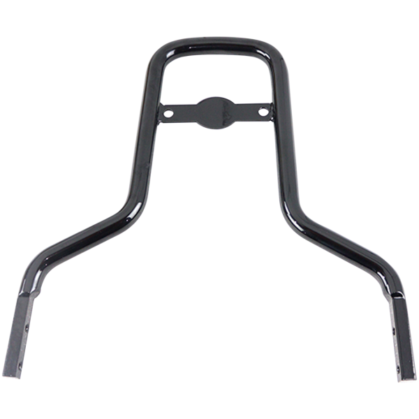 DETACHABLE SISSY BARS FOR TWIN CAM BREAKOUT