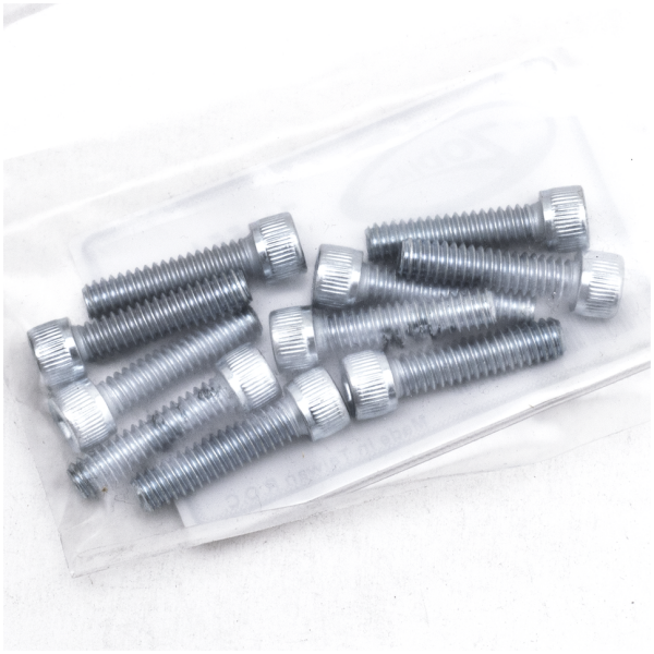 SAE SIZE ZINC PLATED HARDWARE GZP 10pck allen bolt 1/4-20x1" zinc