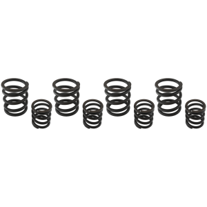 STOCK REPLACEMENT VALVE SPRING SETS