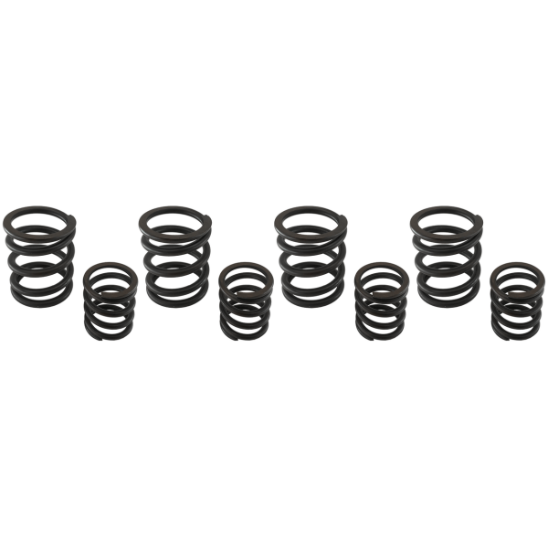 STOCK REPLACEMENT VALVE SPRING SETS