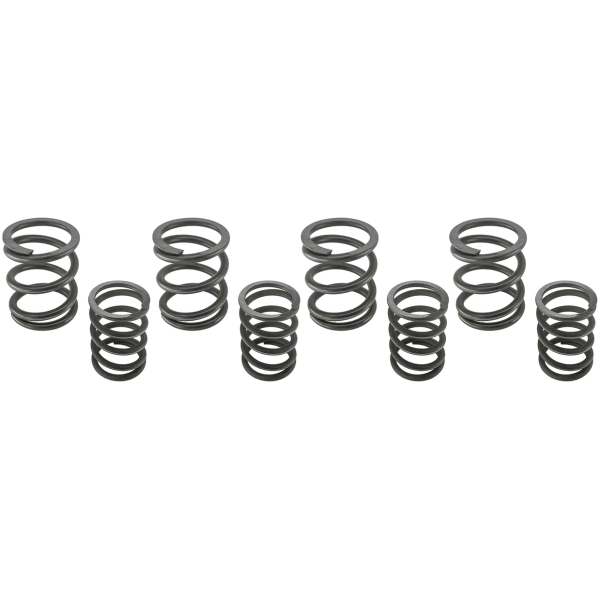 STOCK REPLACEMENT VALVE SPRING SETS