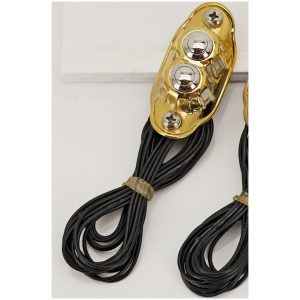 KUSTOM TECH DELUXE SWITCH HOUSINGS K-Tech Deluxe 2 button switch brass poli