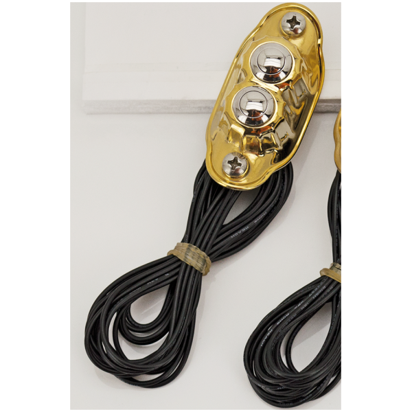 KUSTOM TECH DELUXE SWITCH HOUSINGS K-Tech Deluxe 2 button switch brass poli