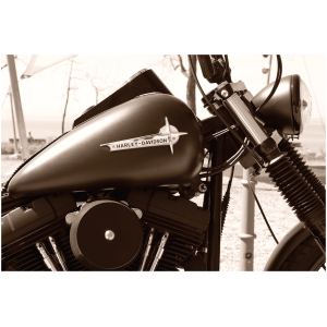 VINTAGE GAS TANK EMBLEMS