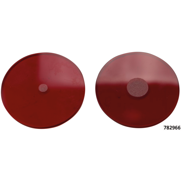 SAMWEL TAILLIGHT FOR 1942 WLC