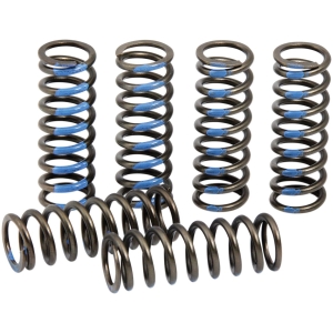 SPRINGS CLUTCH YZ250F