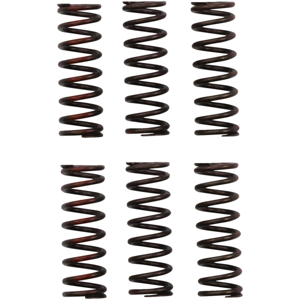 CLUTCH SPRING CRF450R