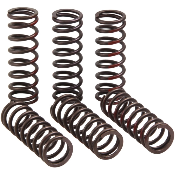 CLUTCH SPRING CRF450R - Bild 2