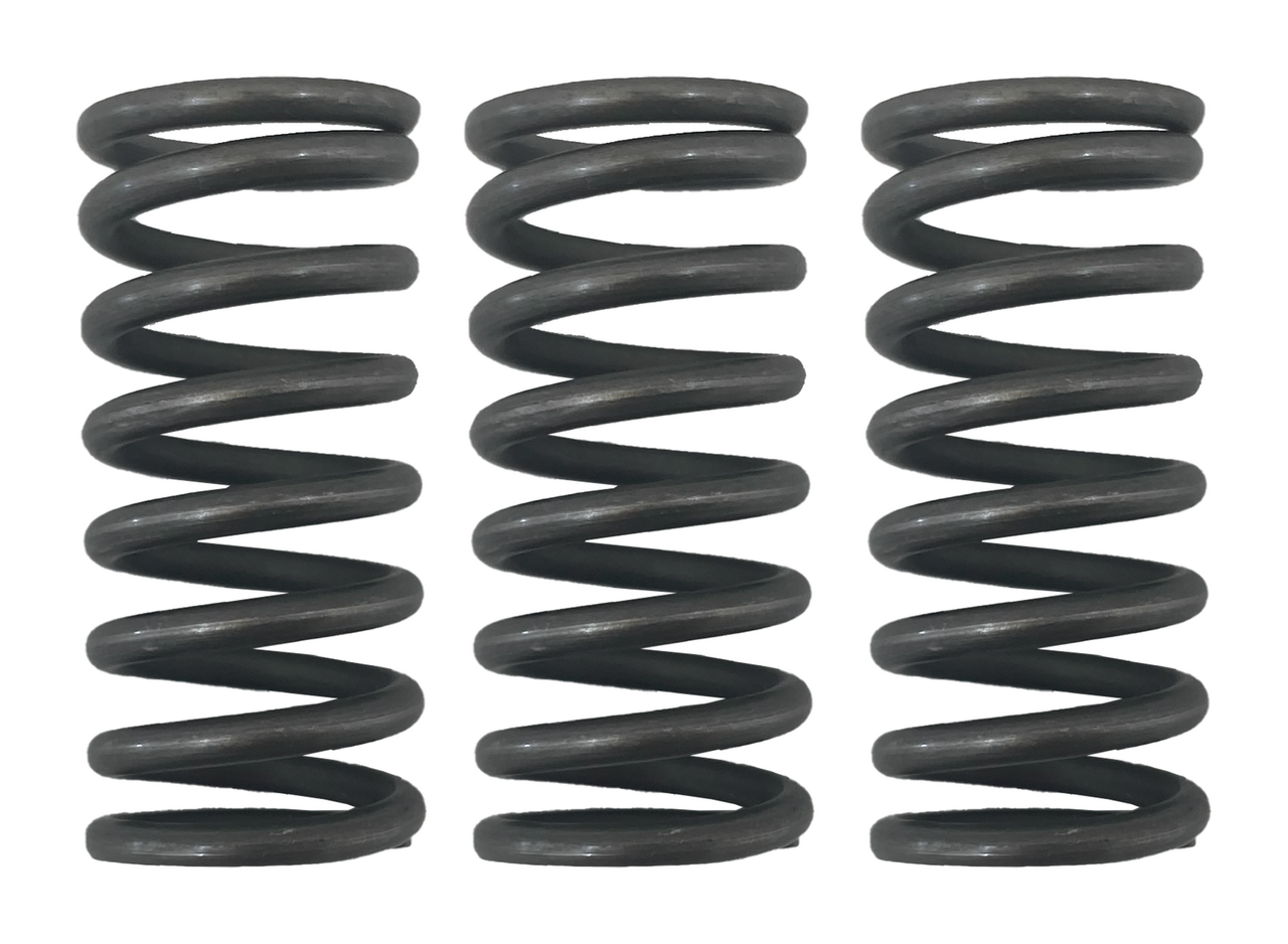 GZP Standard clutch spring set/3 - M8 2017+