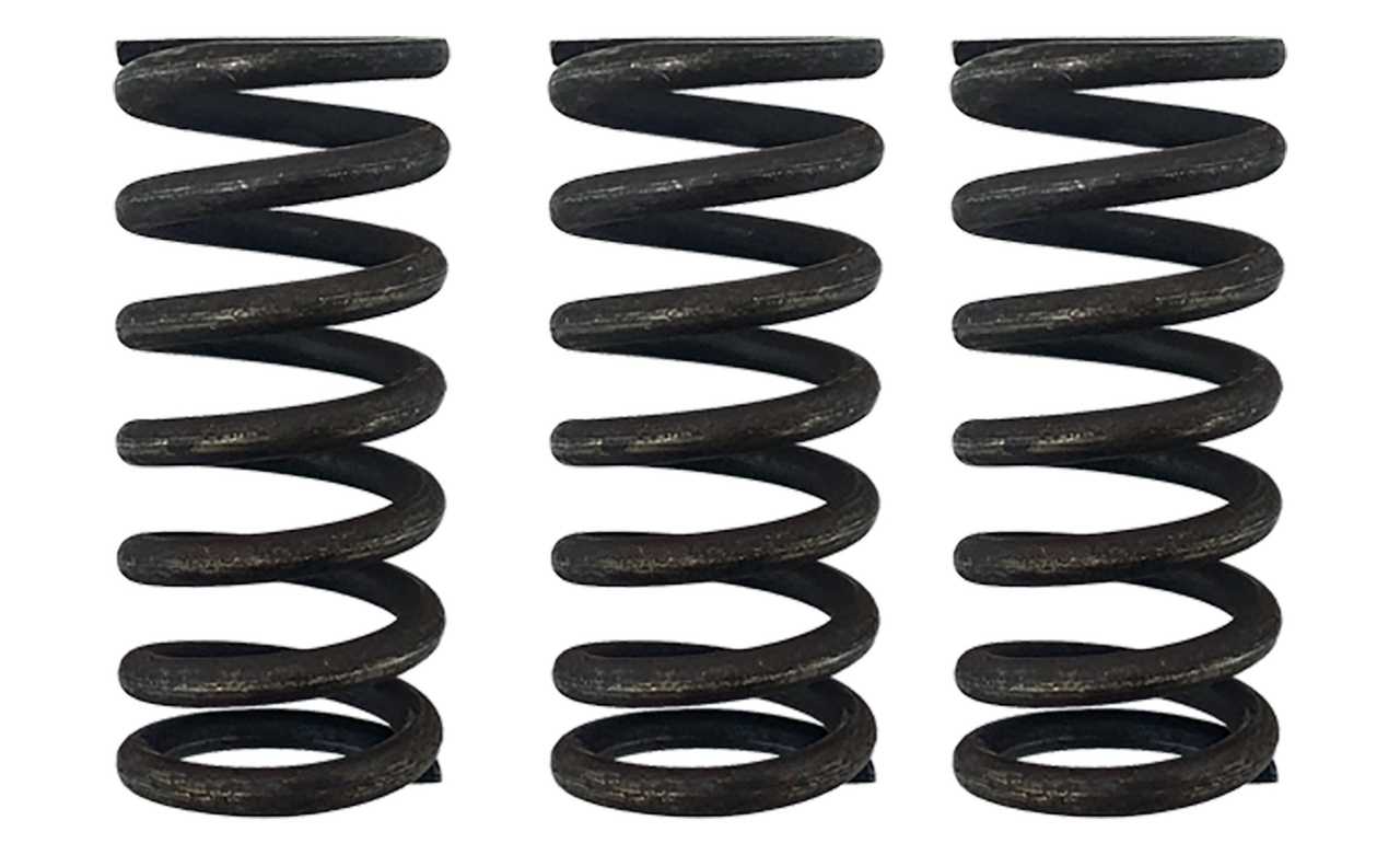 GZP Heavy-Duty clutch spring set - M8 2017+