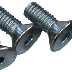 SCREWS F RTR 5/16-18CS